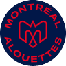 mtl icon